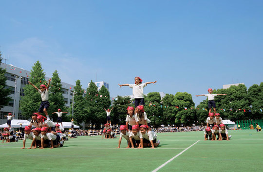 昭和女子大学附属昭和小学校(2016.1) - スクールダイヤモンド_私立